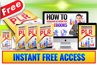 How To Customize a PLR Product